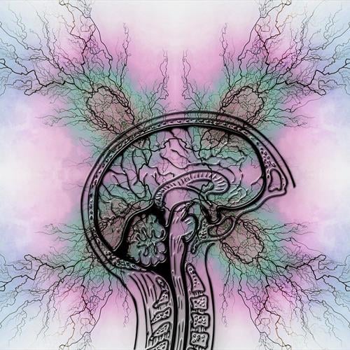 ADHD en ADD | Dit is mijn Toekomst