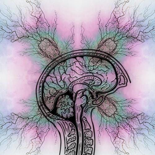 ADHD en ADD | Dit is mijn Toekomst