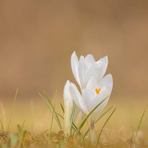 Lente energie | Dit is mijn Toekomst