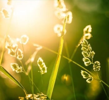 Soul Enlightment  