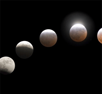 c29f0761-c120-4800-b296-089559c218a1